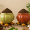 cow dung powder (gobar powder)