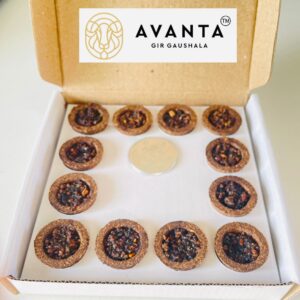 vedic-havan-cup-sambrani-12-pieces-in-one-box