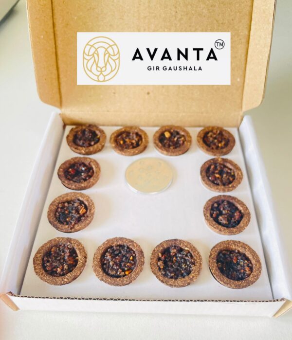 vedic havan cup / ( sambrani 12 pieces in one box)