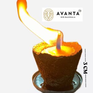 panchgavya-ghee-diya-12-pieces-in-one-box